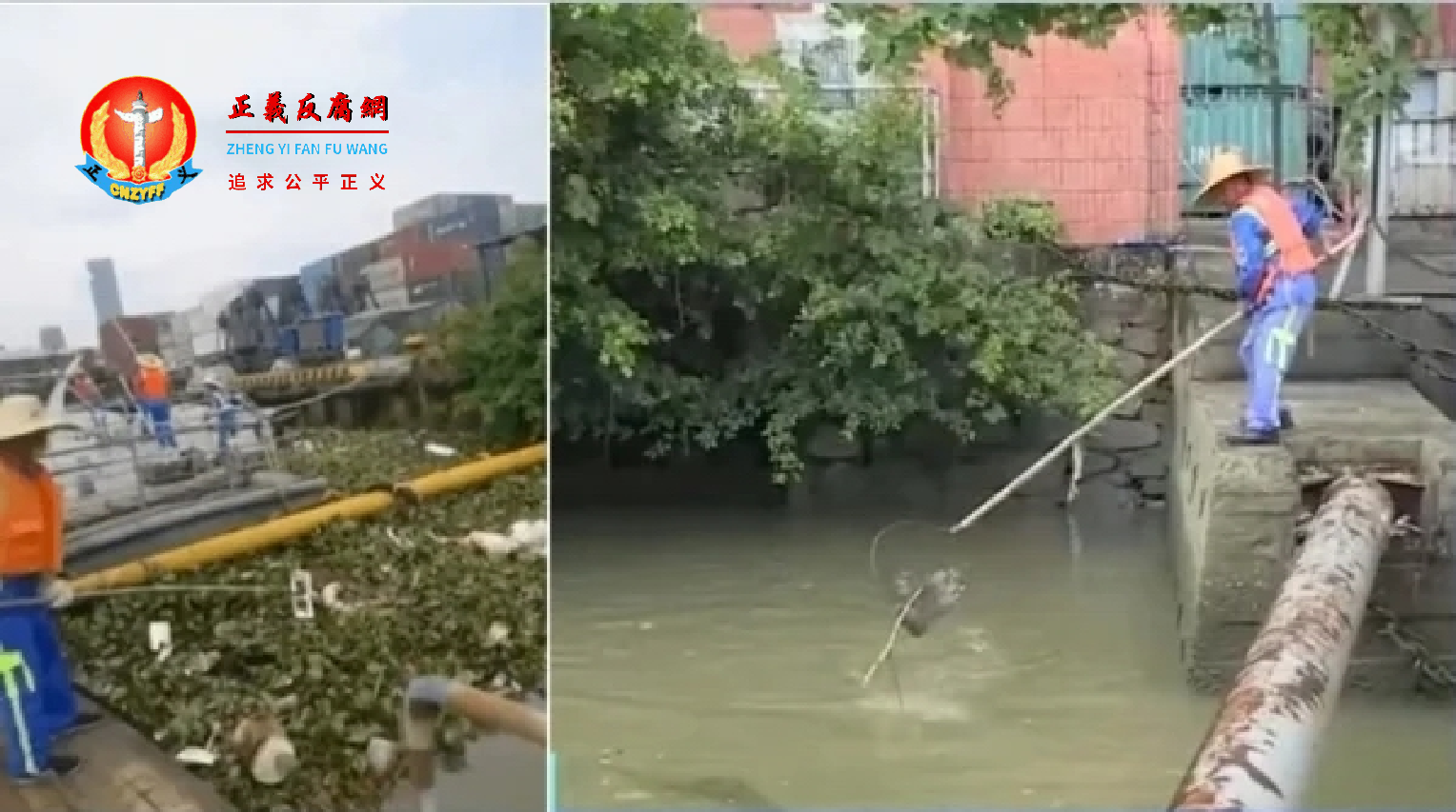 清洁人员正在打捞腐烂猪肉.png 清洁人员正在打捞腐烂猪肉.png