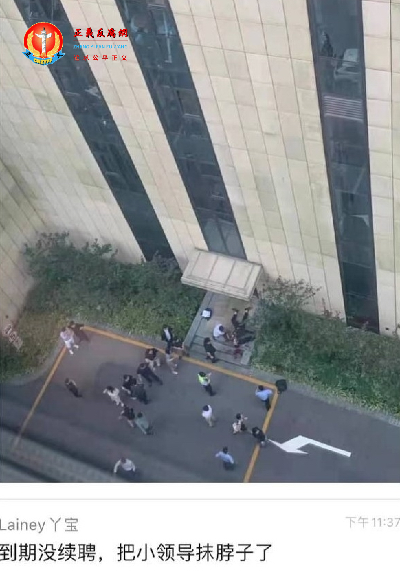 指上海市政设计院一名领导被割喉。.png 指上海市政设计院一名领导被割喉。.png